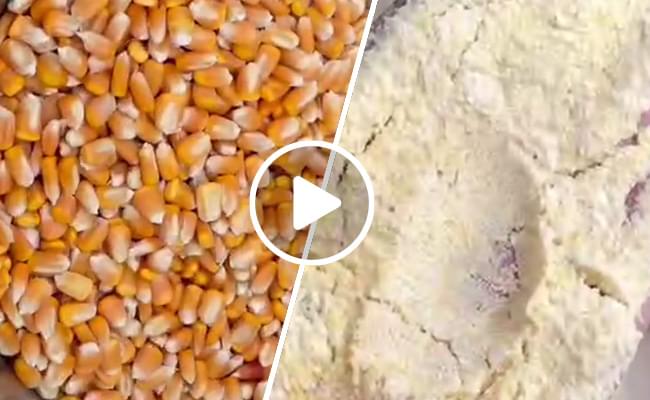 玉米超微粉碎机视频