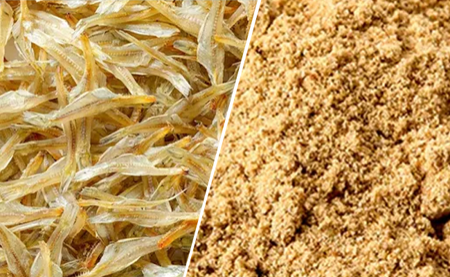 鱼粉超微粉碎机视频