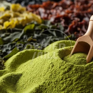 如何将海藻磨成粉末？